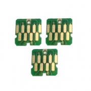 Комплект чипов для памперса к Epson SureColor SC-T3200, SC-T5200, SC-T7200, SC-T3000, SC-T5000, SC-T7000, SC-B6000, SC-F6000, SC-S50610, SC-S70610, SC-P10000, SC-P20000 (для емкости с отработанными чернилами), не обнуляемые, одноразовые, 3 шт