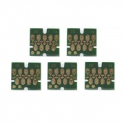 Чипы для ПЗК к Epson Expression Premium XP-6000, XP-6005, XP-6100, XP-6105 (совм. T02E1, T02F1-T02F14, T02G1, T02H1-T02H14), автоматически обнуляемые, комплект 5 цветов
