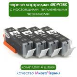 Картриджи для Canon PIXMA TS704, TS6140, TS6240, TS6340, TS8140, TS8240, TS8340, TS9140, TS9540, TS9541C, TR7540, TR8540 (PGI-480PGBK XXL), совместимые, чёрные пигментные Pigment Black, комплект 4 штуки