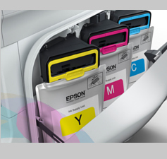 Система Epson RIPS