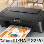 Canon PIxma MG2555S