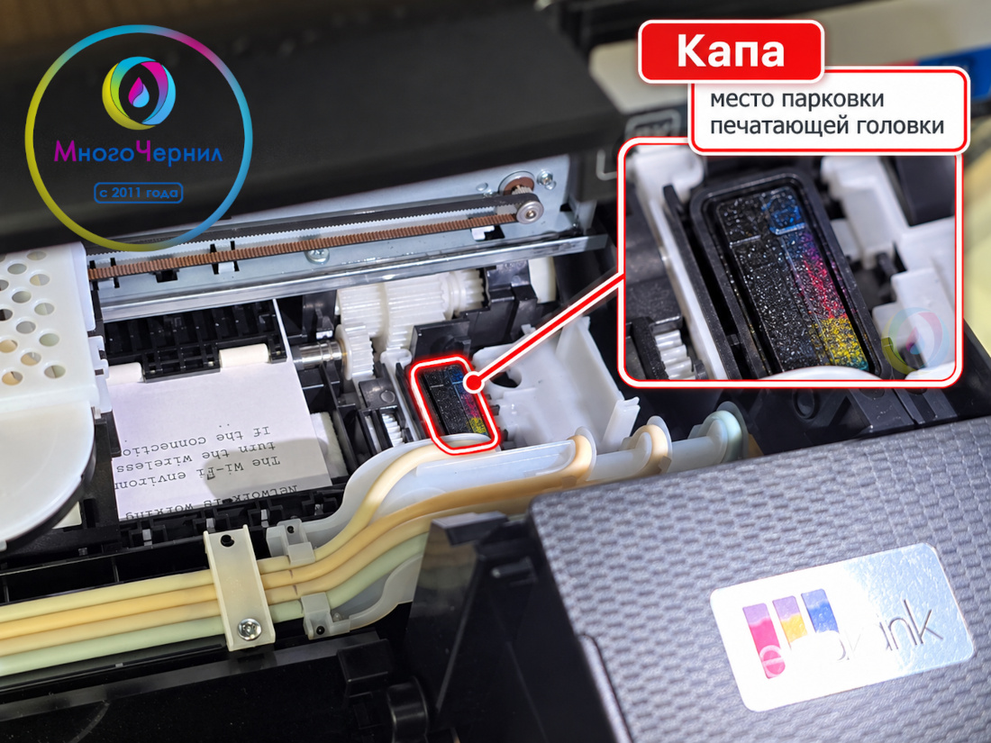 Капа на принтере Epson
