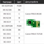 Чипы для Картриджи BCI-300/BCI-301 и N20/N21 для XK100, TS7530