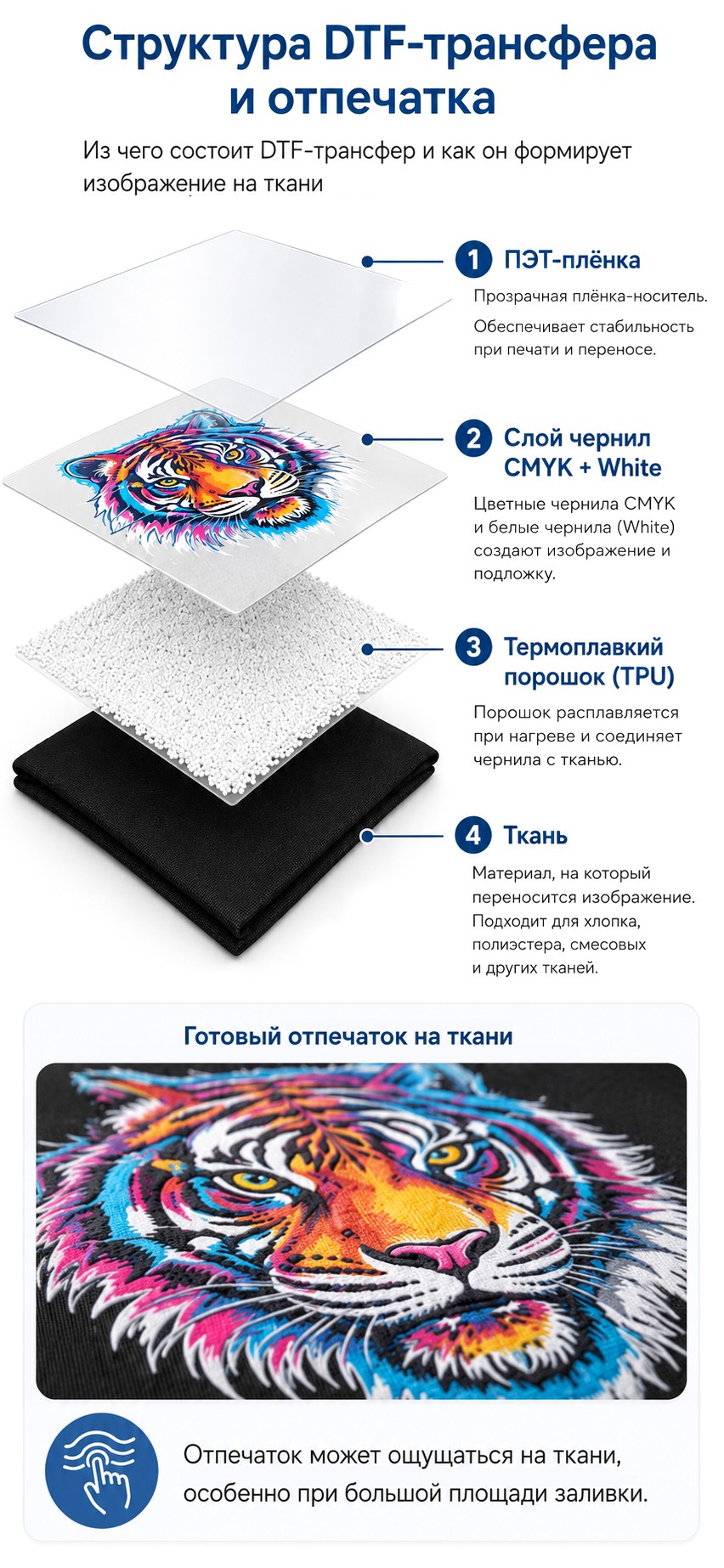 Структура DTF-трансфера и отпечатка